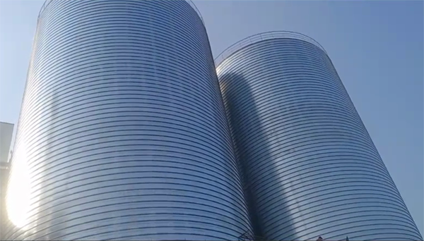 新会2座混凝土高架卷板仓